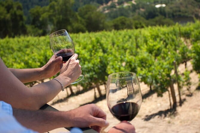 Chianti Wine Tour from Florence - The Guide Can Shape the Day