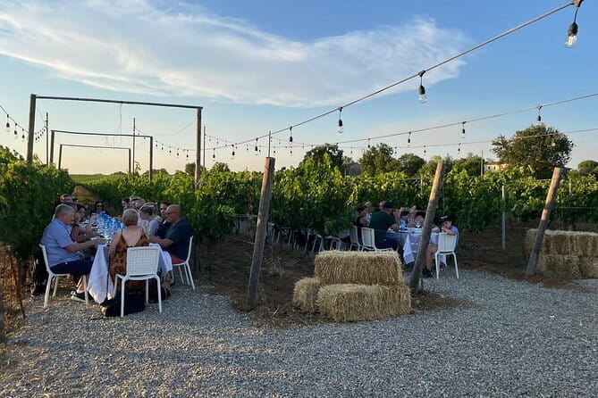 Chianti Wine Tour from Florence with Tastings - What the Chianti afternoon actually includes
