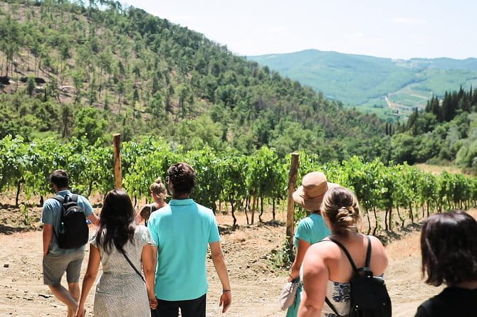 Chianti Wine Tour from Florence - First Winery: Organic Wine and Local Bites
