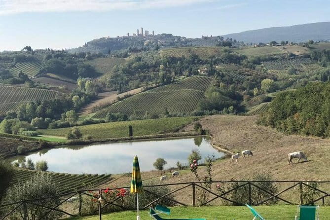 Chianti Wineries Tour with Tuscan Lunch and San Gimignano - The first winery: the personal touch