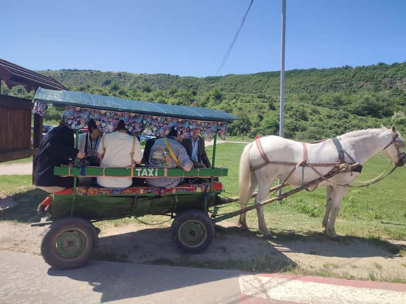 Chisinau: Cricova Winery, Curchi Monastery, & Old Orhei Tour - Curchi Monastery: Moldova’s grand opening stop