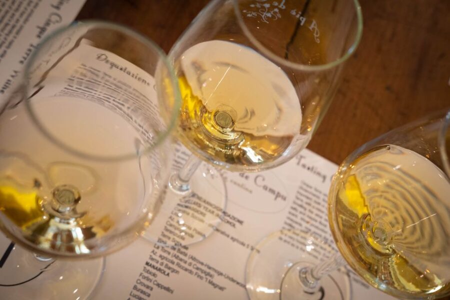 Cinque Terre: Wine Tasting and Walking Tour - Ivonne’s Family Story Adds Meaning