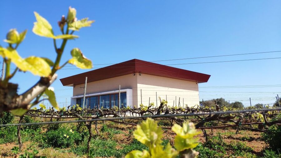 Ciutadella de Menorca: Family Winery Tour with Wine Tasting - Key points to know before you book