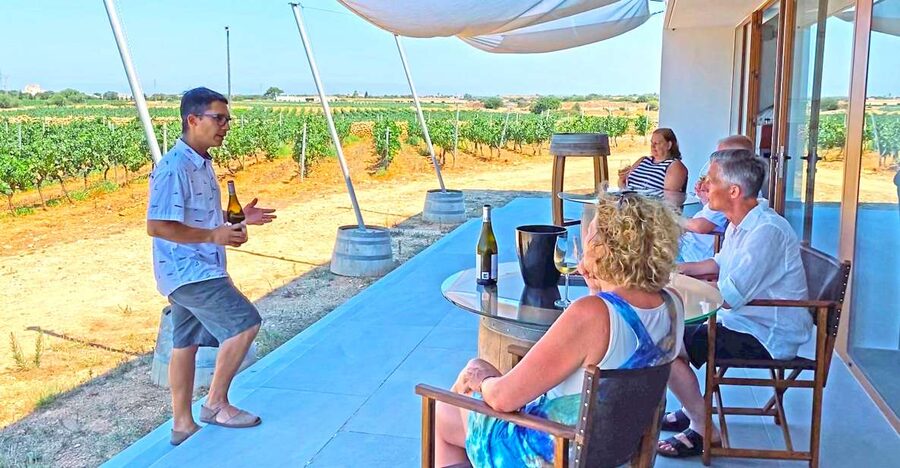Ciutadella de Menorca: Family Winery Tour with Wine Tasting - A family winery rooted in Menorca