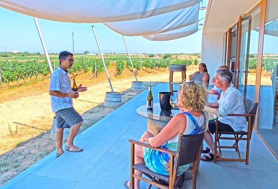 Ciutadella de Menorca: Family Winery Tour with Wine Tasting - How Menorca shapes the wine