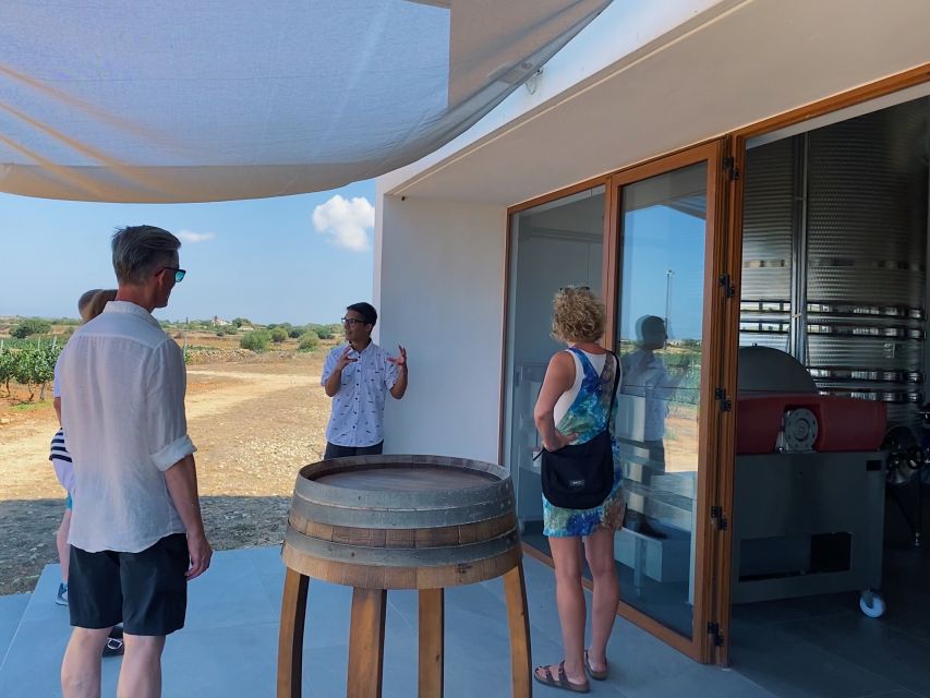 Ciutadella de Menorca: Family Winery Tour with Wine Tasting - The seated tasting: wine, vermut, and local food