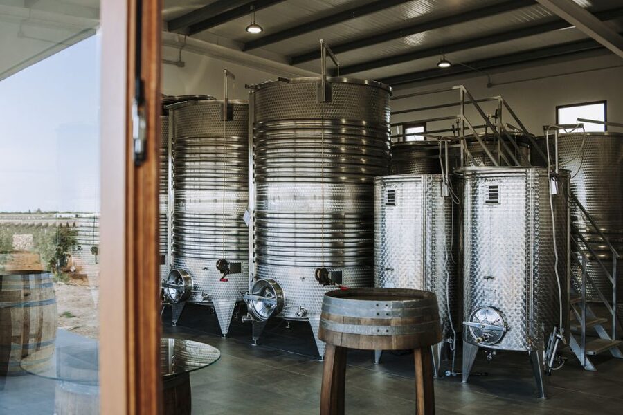 Ciutadella de Menorca: Family Winery Tour with Wine Tasting - Who will enjoy this winery visit?