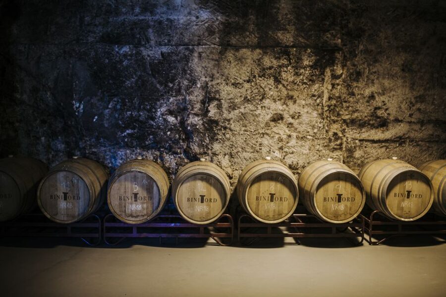 Ciutadella de Menorca: Family Winery Tour with Wine Tasting - Walking through the vines and farm
