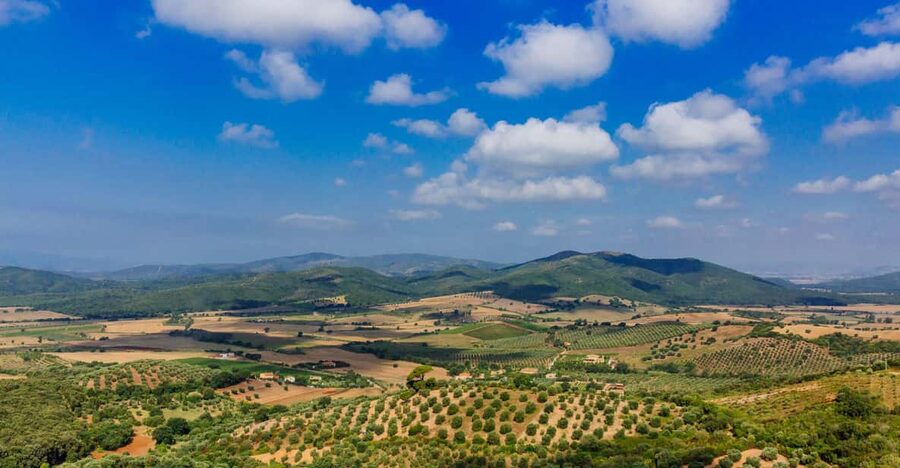 Civitavecchia: Tuscany Full-Day Guided Trip w/Wine Tasting - The first stop: Montemerano in 35 minutes