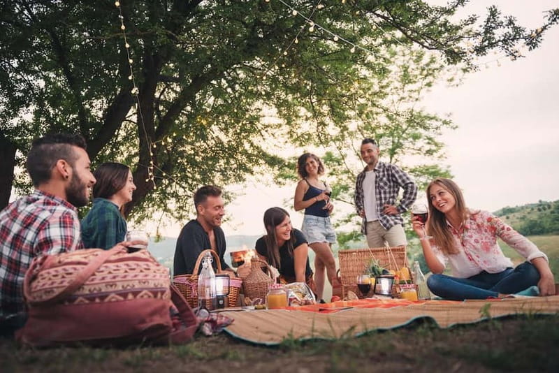 Cochem: Bike and Boat Tour with Picnic and Wine Tasting - Why this Cochem outing works