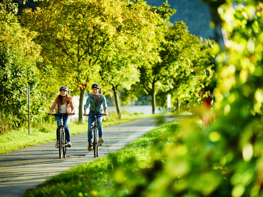 Cochem: Bike and Boat Tour with Picnic and Wine Tasting - A Moselle picnic with a view