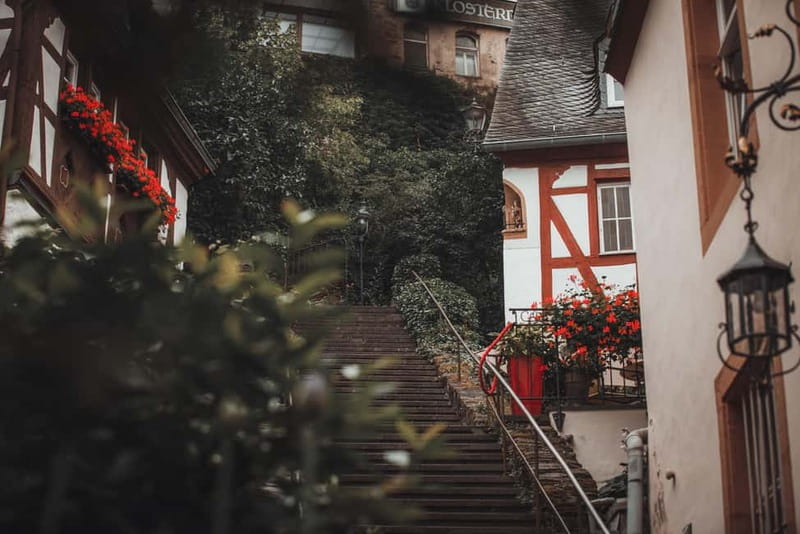 Cochem, Moselle: Boat – Beilstein, meal, wine and liqueur tasting - Who will enjoy this Moselle outing most?