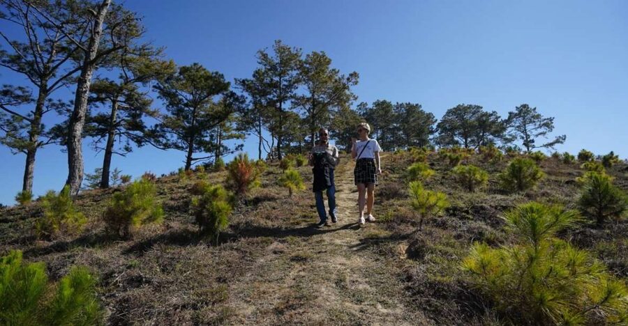 Coffee - Wine - Tea Da Lat's Agricultural Treasures Tour - Key points before you book