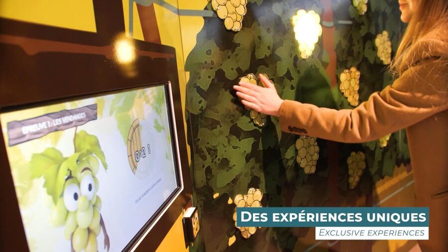 Colmar: Alsace Wine Museum Entrance Ticket - Appellations and the Alsace Wine Route