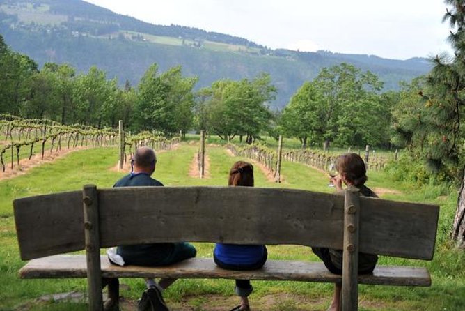 Columbia Gorge Waterfalls & Wineries from Portland: All-Inclusive Afternoon Tour - The 620-foot drop at Multnomah Falls