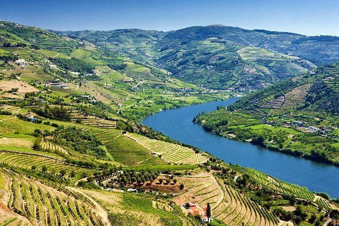 Complete Douro Valley Wine Tour with Lunch, Wine Tastings and River Cruise - Folgosa: a second look at wine production