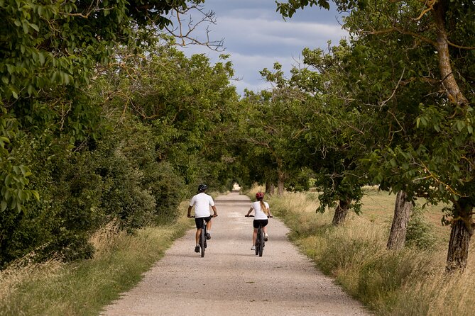 Cortona - eBike tour and wine tasting in the Val di Chiana [+40€] - The guides make the difference