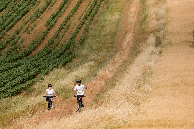 Cortona - eBike tour and wine tasting in the Val di Chiana [+40€] - Who should book this ride?