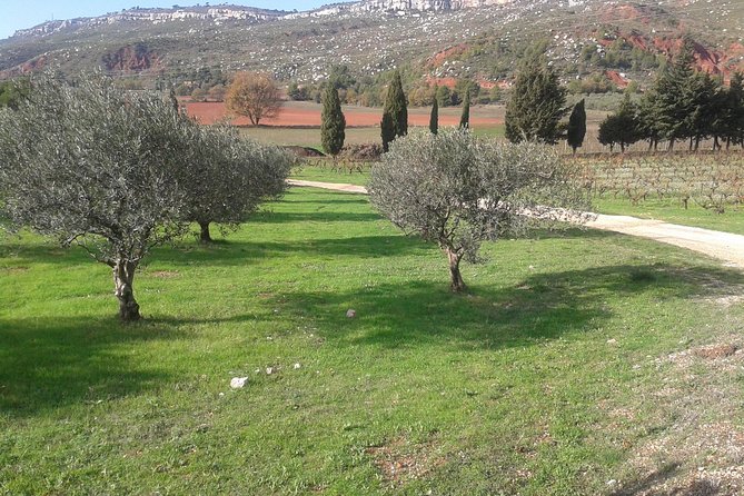 Cotes de Provence Wine Tour from Aix-en-Provence - Key points before you book