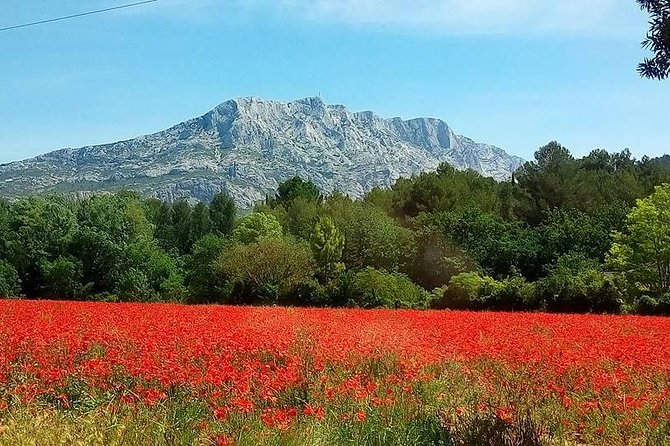 Cotes de Provence Wine Tour from Aix-en-Provence - Leaving Aix for Provence’s wine country