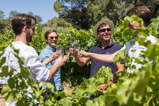 Cotes de Provence Wine Tour from Aix-en-Provence - What $119.77 gets you