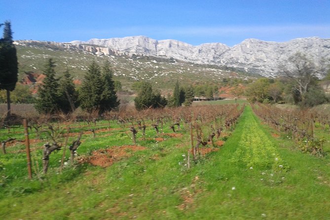 Cotes de Provence Wine Tour from Aix-en-Provence - Mont Sainte-Victoire and the Cezanne road