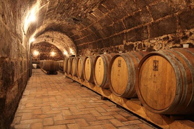 Countryside Half-day Gastro-Wine Tour from Budapest Meal & pickup - Five things to know before booking