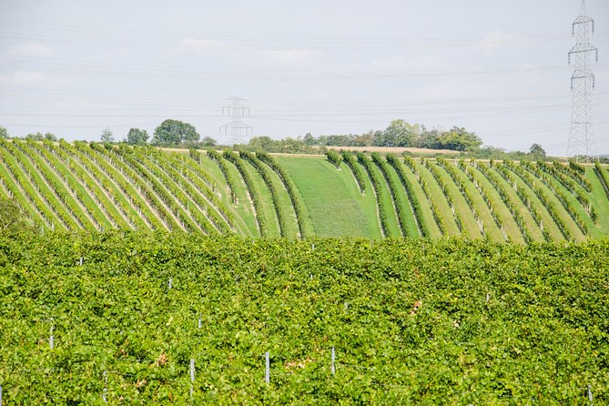 Countryside Half Day Wine Tour near Vienna - Second winery: the shorter tour’s main stop