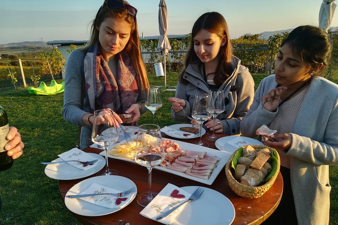 Countryside Half Day Wine Tour near Vienna - The third winery and the longer evening program