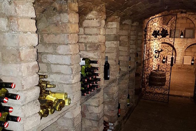 Countryside Half Day Wine Tour near Vienna - First winery: personal tastings and local character