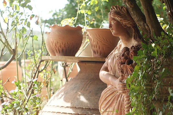 Cretan Wines & Olive oil tour - The treasures of Crete - Timing, comfort, and practical details