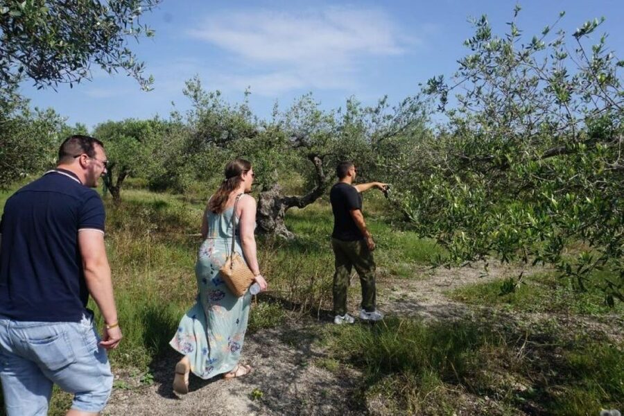 Crete: Full-Day Cretan Wines, Olive Oil, Raki and Food Tour - Thrapsano pottery makes a hands-on finale