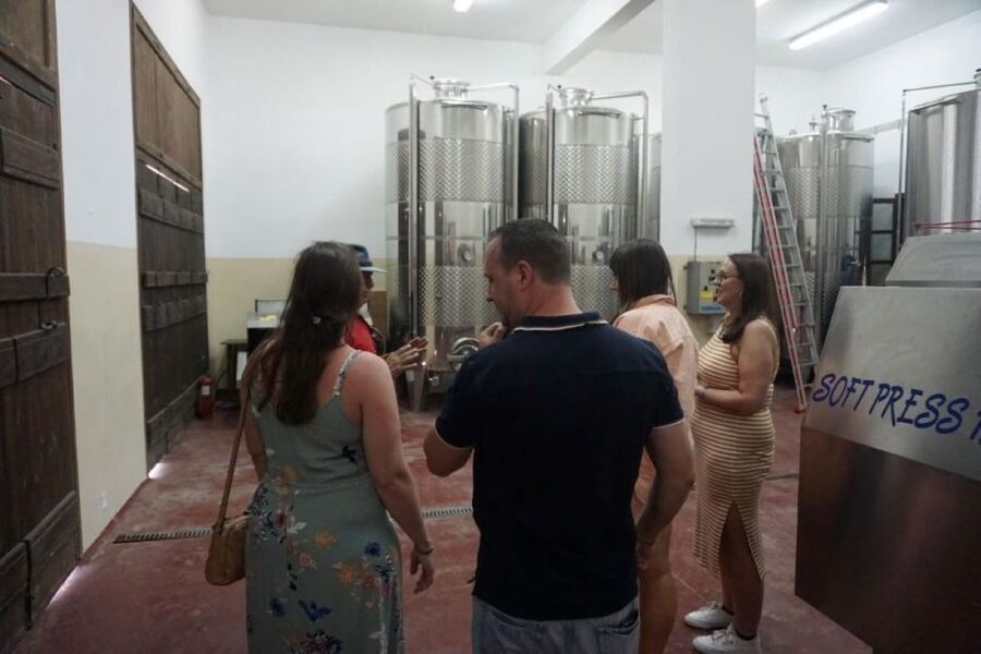 Crete: Full-Day Cretan Wines, Olive Oil, Raki and Food Tour - How the eight-hour schedule feels