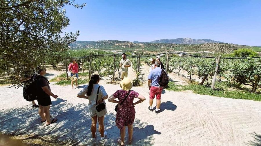 Crete: Knossos Palace, Winery & Olive Oil Tour with Lunch - Into the countryside for wine and olive oil