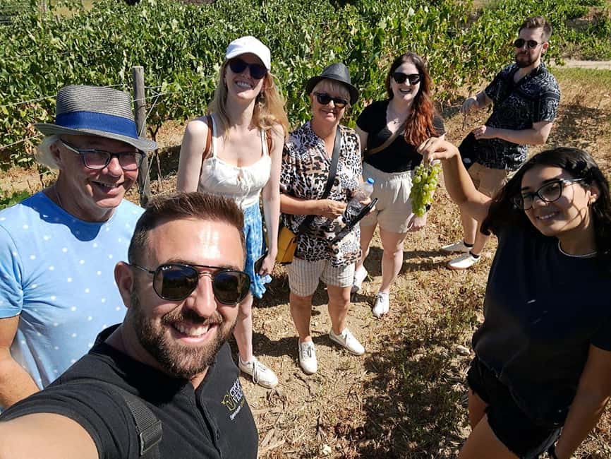 Crete: Knossos Palace, Winery & Olive Oil Tour with Lunch - Should you book the Knossos, winery, and olive oil tour?