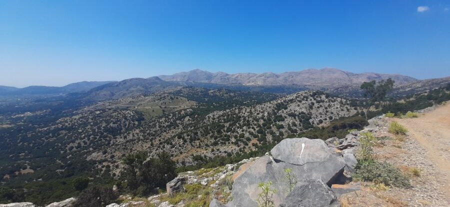 Crete: Olive, Wine, & Raki on a Flavorful Culinary Journey - Archanes adds a village finish