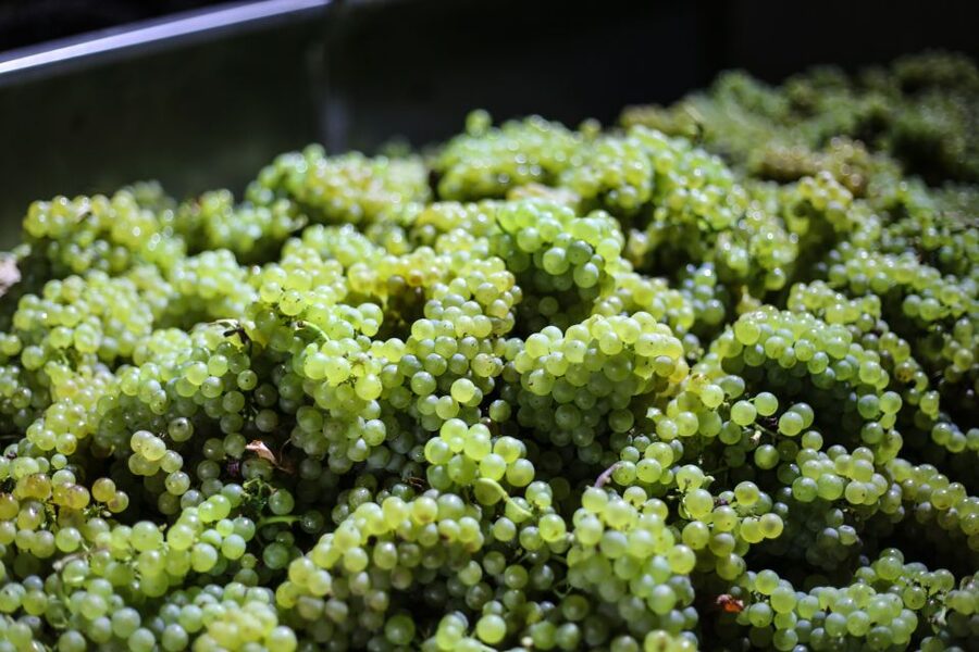 Crete: Olive, Wine, & Raki on a Flavorful Culinary Journey - Leaving town in a premium SUV
