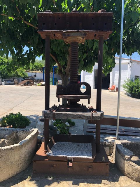 Crete Private Tour: The Secrets of Wine, Olives & Honey - Paraschakis Olive Oil and the work behind every bottle