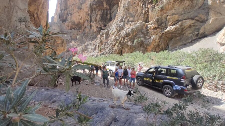 Crete: Trypiti Beach Off-Road South Tour w/ Lunch & Wine - A long Cretan lunch near the olive trees