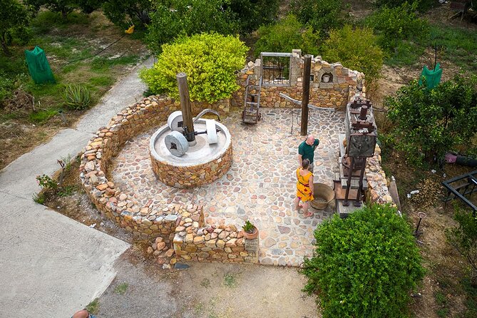 Crete Wine and Olive Oil Tour - Why this Chania wine tour is worth your morning
