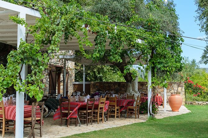 Crete Wine and Olive Oil Tour - Vouves and the ancient olive tree
