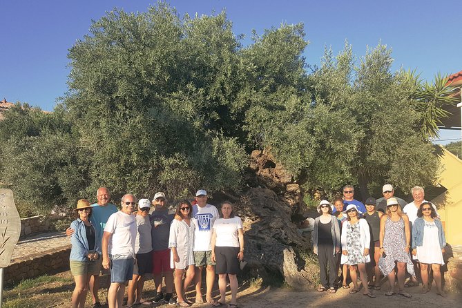 Crete Wine and Olive Oil Tour - Manousakis Winery and the second round of tasting