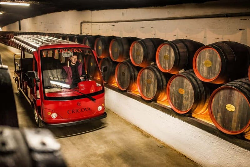 Curchi Monastery, Old Orhei and Cricova Winery (Optional) - Who will get the most from this trip
