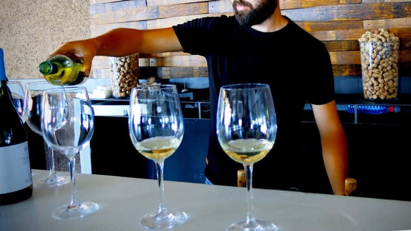 Cyprus: Troodos Mountain Wine Tour with a Local - What makes the family wineries worthwhile