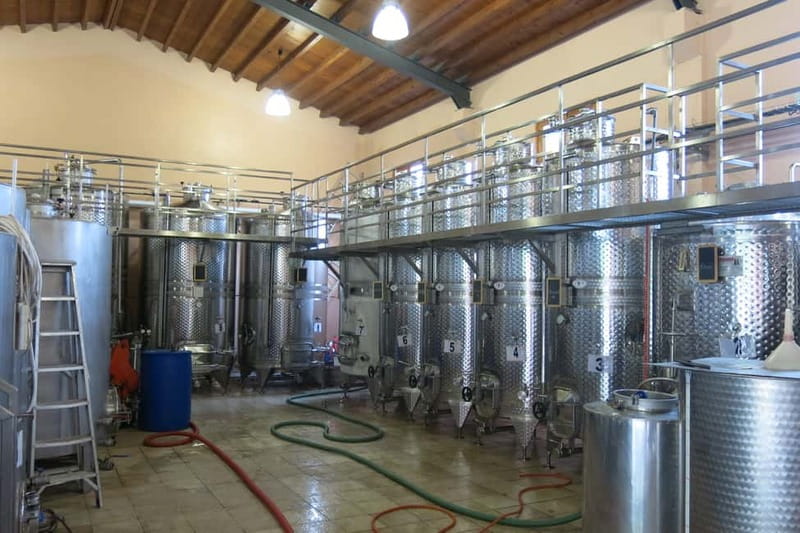 Cyprus: Troodos Mountain Wine Tour with a Local - Timing, comfort, and practical limits