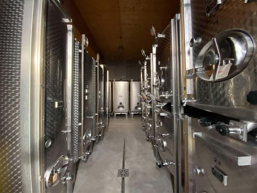 Dare to Alsace Wine with a Feminine Touch - Meeting Muriel at the 8-Hectare Domaine Gueth