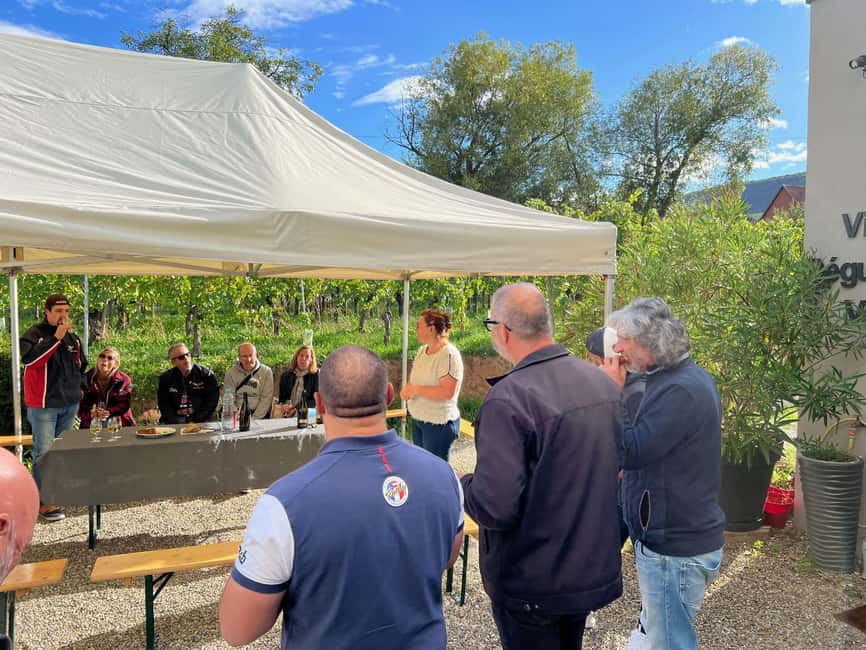Dare to Alsace Wine with a Feminine Touch - Organic Farming Explained Without the Jargon