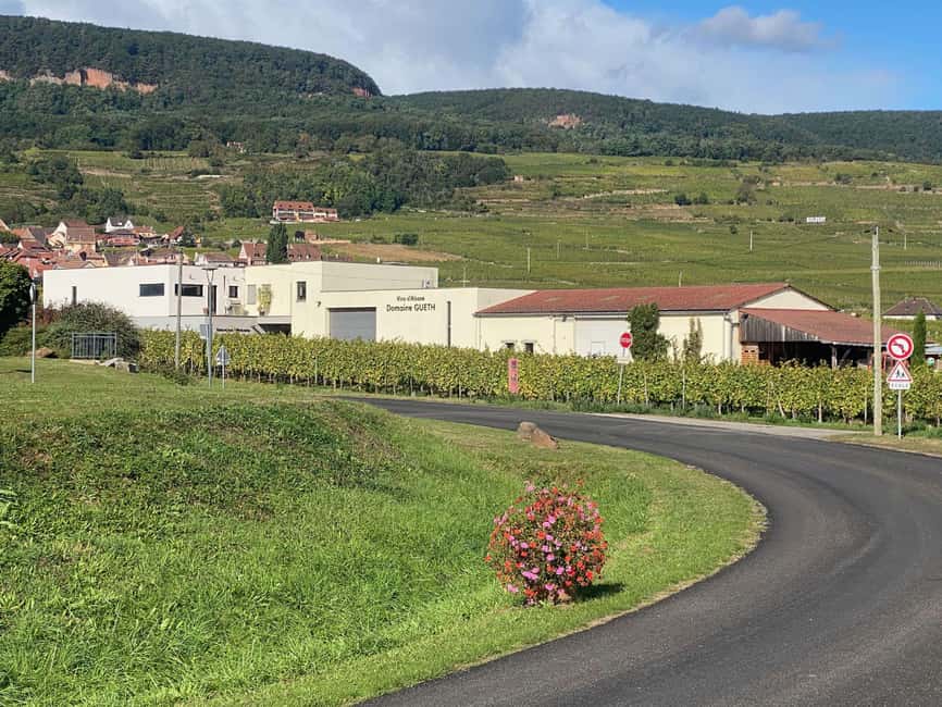Dare to Alsace Wine with a Feminine Touch - Inside the Cellar and Technical Facilities
