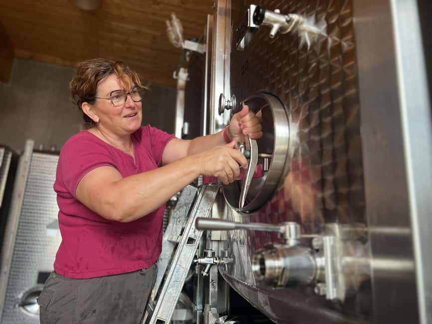 Dare to Alsace Wine with a Feminine Touch - Who Should Book This Experience