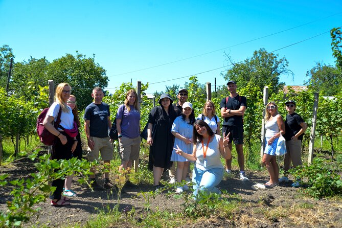 Day Trip to Kakheti Wine Region Including 9 Wine Tastings - Value at $29, with a few extra costs